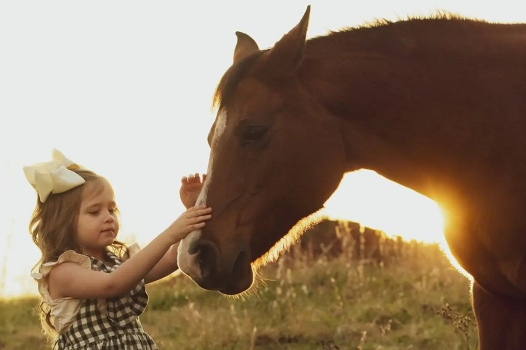 Horse Therapy