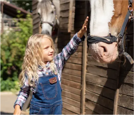 Horse Therapy