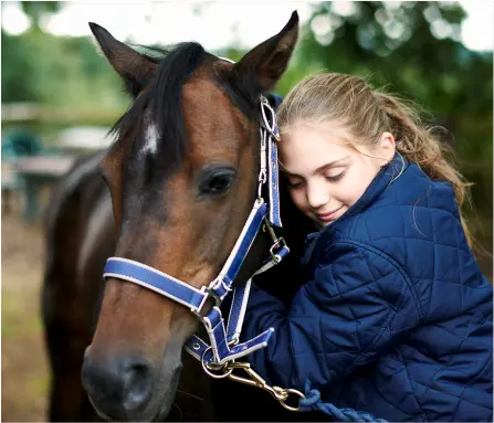 Horse Therapy