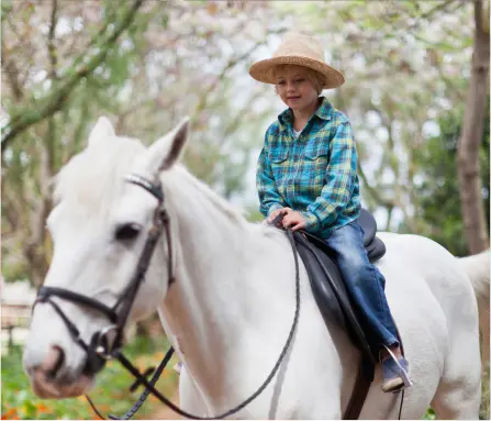 Horse Therapy