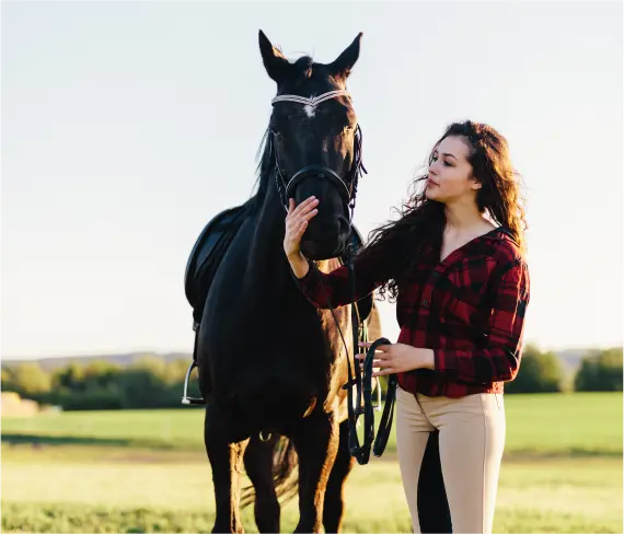 Horse Therapy