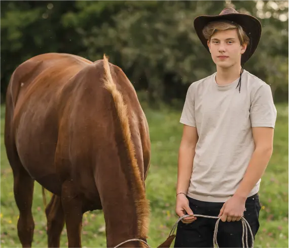 Horse Therapy