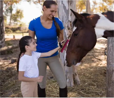 Horse Therapy