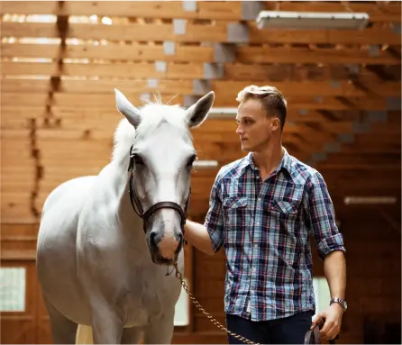 Horse Therapy