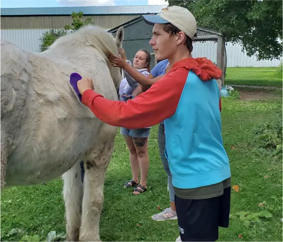 Horse Therapy