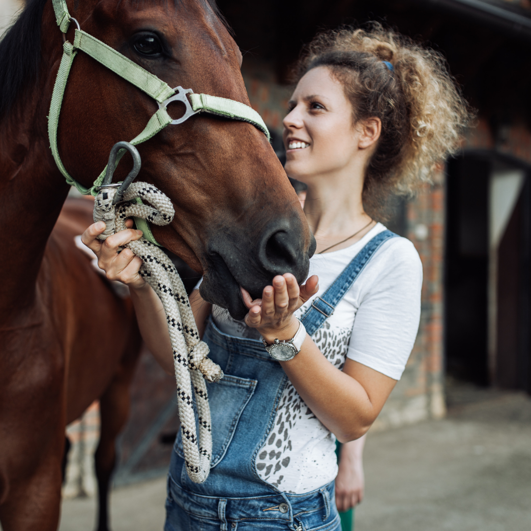 equine assisted psychotherapy