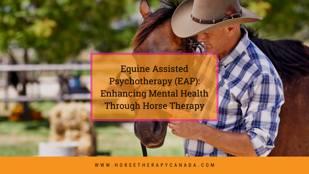 equine assisted psychotherapy business plan